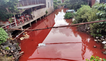 Paint Turns Vietnam Canal Water ‘Blood Red’