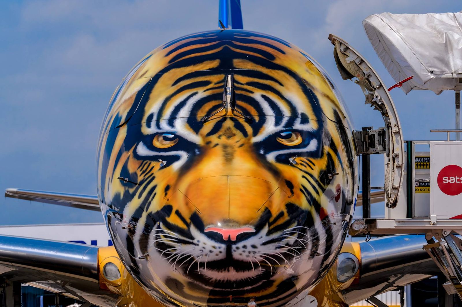 Airplane Maker Paints Tiger, Shark Planes : PaintSquare News