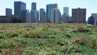 Not enough green? Buffalo Bills' new $1.4B stadium won't seek LEED